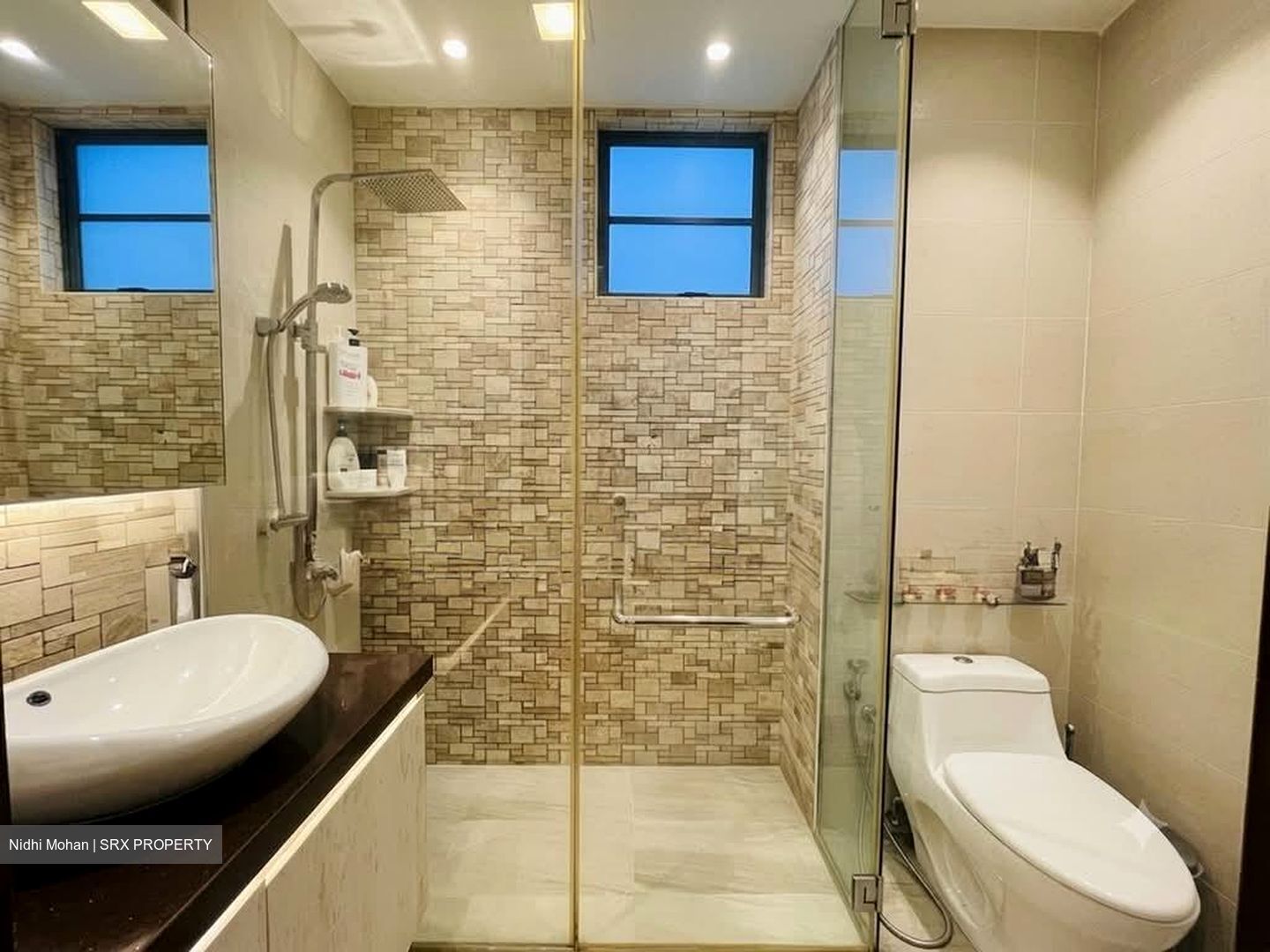 Tanglin Regency (D10), Condominium #588303221